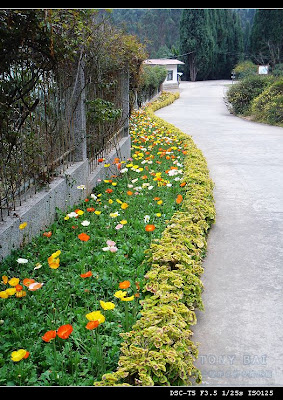 Image 21: http://farm1.static.flickr.com/180/369840186_f42458d6fe.jpg?v=0